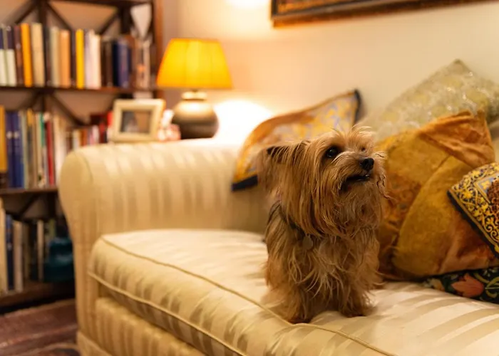 Bed & Breakfast B&B La Scalinatella Rome