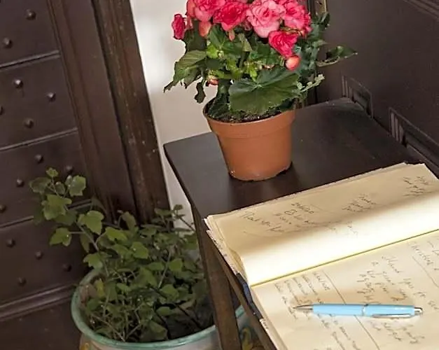 Bed & Breakfast B&B La Scalinatella
